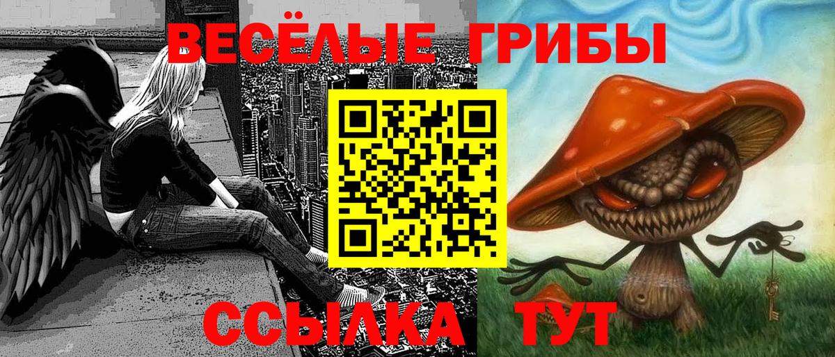 Псилоцибиновые грибы Magic Shrooms Якутск