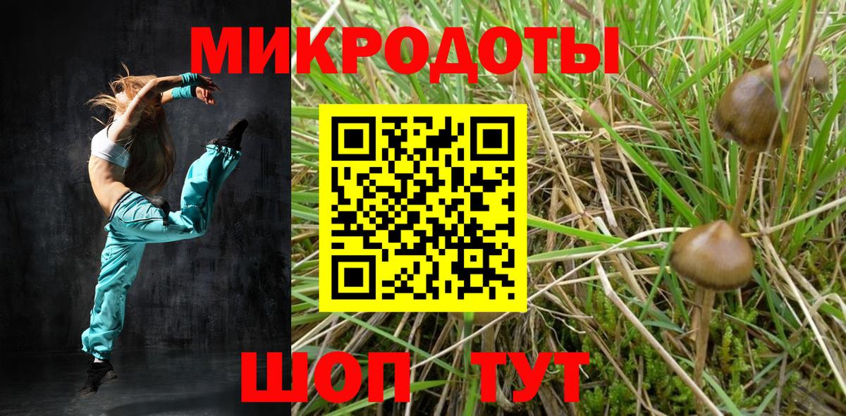 Якутск  Псилоцибиновые грибы GOLDEN TEACHER  Вход с VPN 
